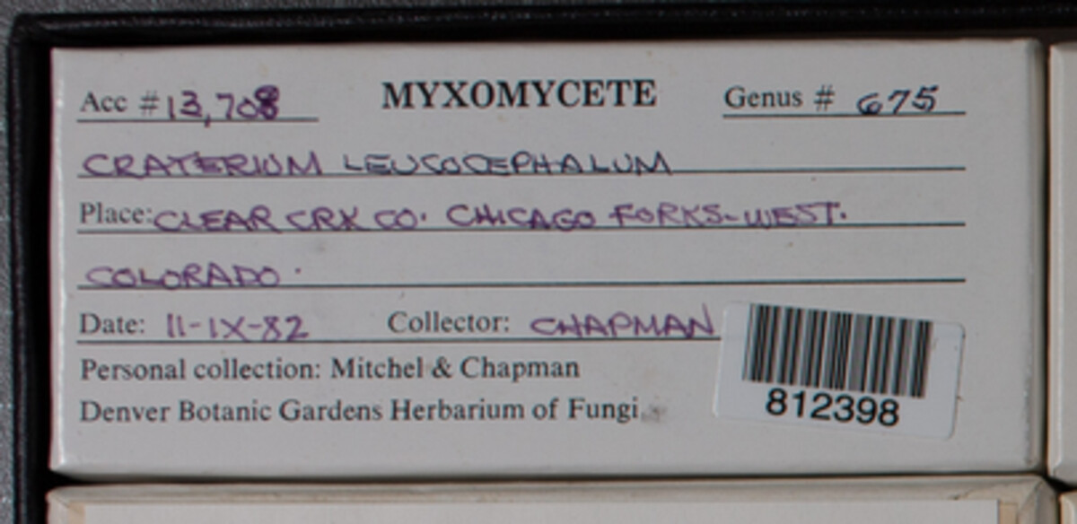 Craterium image